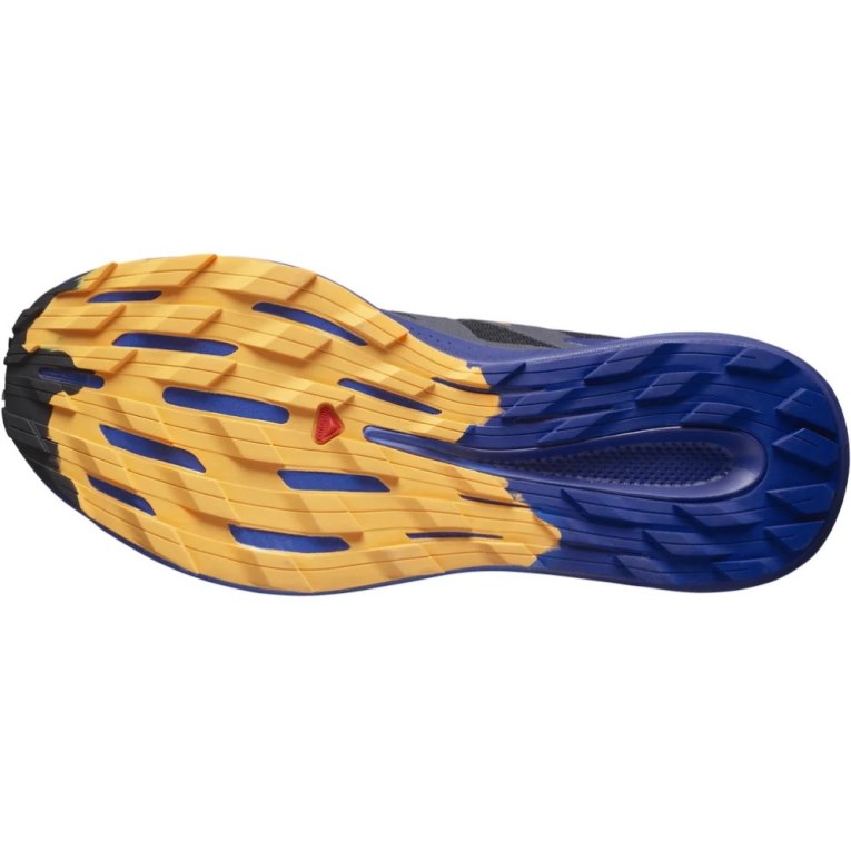 Salomon Pulsar Men's Trail Running Shoes Blue / Black | CA 58V92